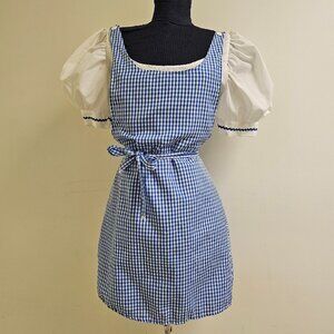 Dorothy/Farm Girl Mini Dress